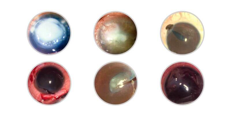 Casino excitement image